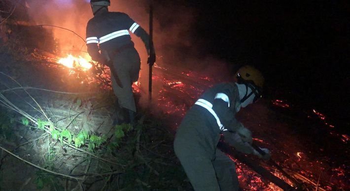 Queda de fio da rede elétrica provocou um incêndio no interior de Castelo. Em Ibitirama, fogo atingiu duas plantações de eucalipto