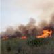 A imagem mostra o fogo em um pasto na região de Boa Esperança