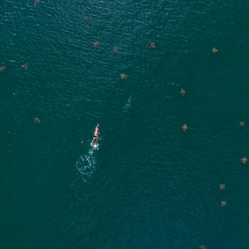 Baía das Tartarugas: recanto de biodiversidade marinha em Vitória