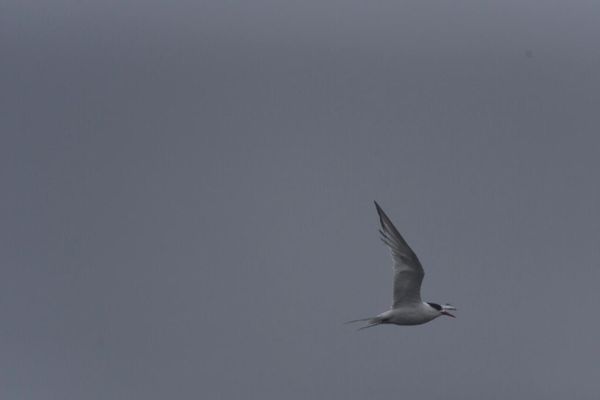 O capixaba enfrentou chuva e vento na manhã de hoje em Vitória por Vitor Jubini