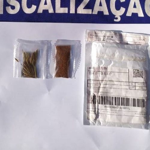 Ministério da Agricultura alerta sobre espécies não identificadas que geralmente chegam junto com alguma encomenda feita pela internet, como se fosse um brinde. Entretanto, ainda não se sabe quais riscos podem trazer