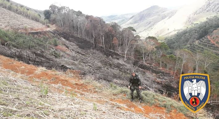 A Polícia Militar Ambiental descobriu o crime em Dores do Rio Preto e Guaçuí, nesta quinta-feira (24), após levantamento via imagens de satélite e denúncias anônimas
