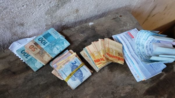 Polícia Civil deflagra operação contra furto e abate clandestino de gado por Divulgação/ Polícia Civil