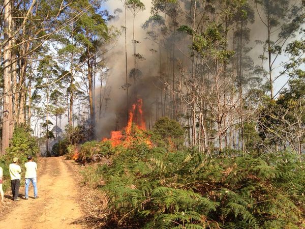 Incêndio atinge área próxima a Rampa do Monjolo