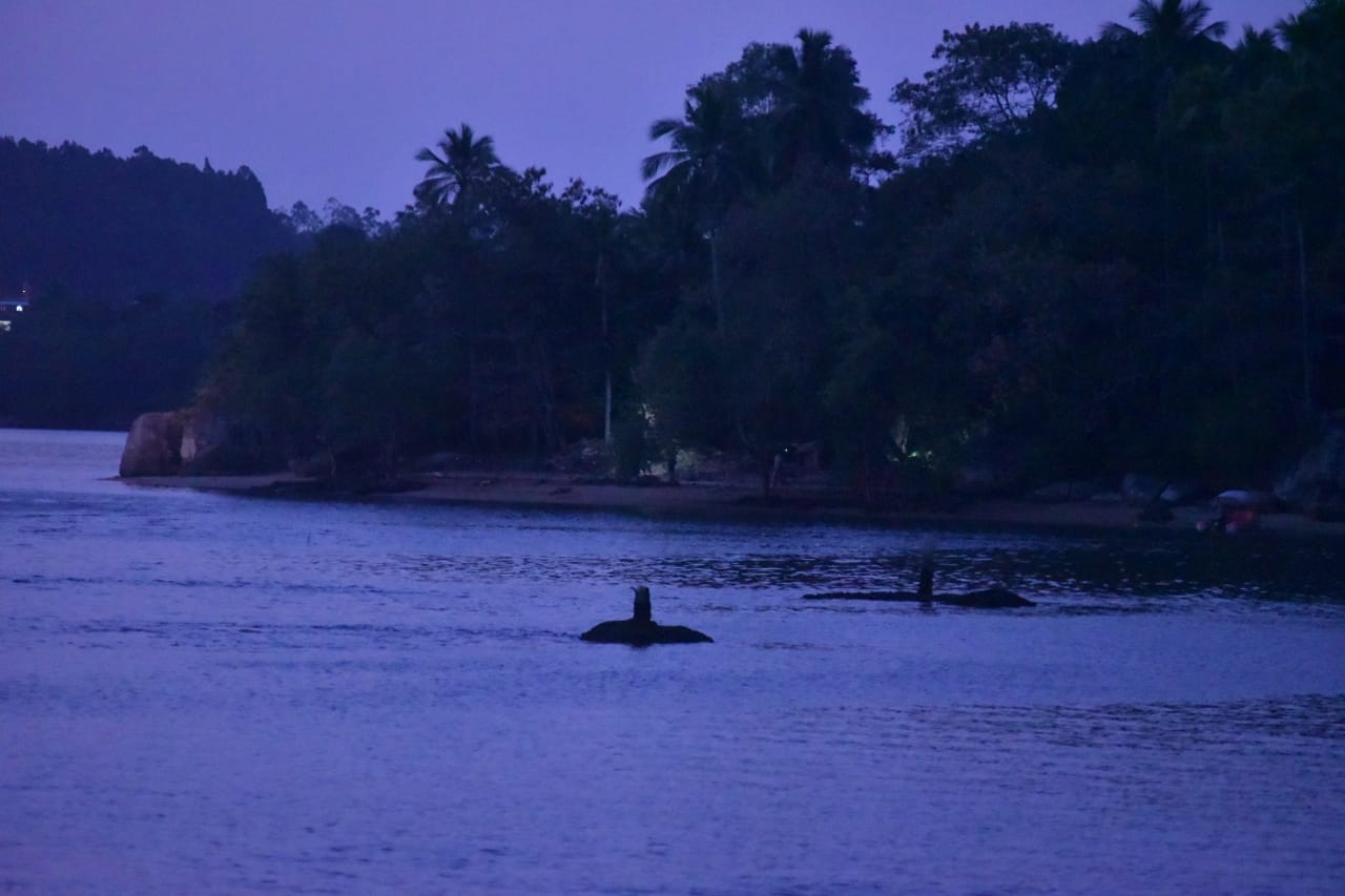 Cuatro personas fueron asesinadas en Ilha do Américo, en la bahía de Vitória, este lunes (28)