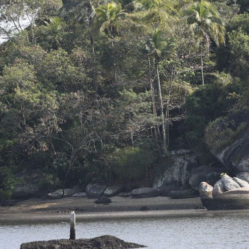 Os homens foram assassinados na Ilha Dr. Américo de Oliveira, que fica na região de Santo Antônio, na tarde desta segunda (28). Uma quinta vítima ficou ferida