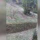 Imagem - Chuva de granizo atinge Pedra Azul, em Domingos Martins