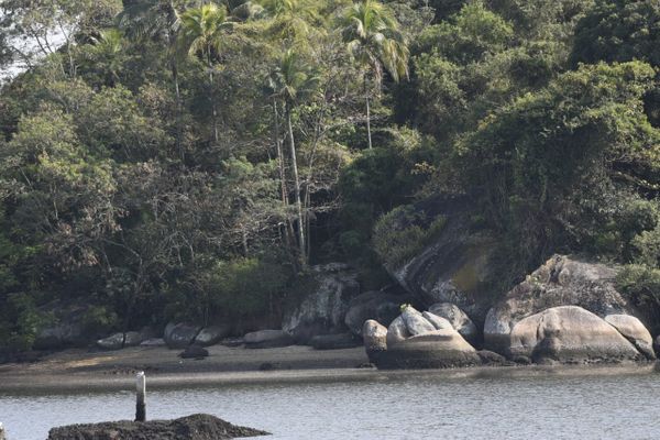 Ilha Dr.Américo de Oliveira, em Vitória, onde quatro jovens foram mortos
