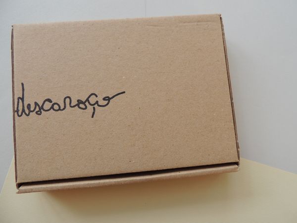 O livro-objeto "Descaroço" por Sarah Bichara