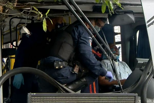 Motorista e passageiros ficaram feridos após Transcol bater em árvore na Avenida Vitória