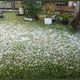 Imagem - Moradores registram chuva de granizo e vendaval em Itarana