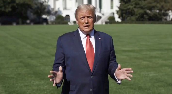 Após ataque ao Capitólio, o ainda presidente dos Estados Unidos foi permanentemente impedido de usar sua conta no Twitter e em outras plataformas. Decisão é considerada controversa
