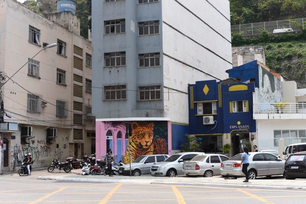 Painel onça pintada