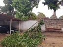 Chuva causou estragos em Aracruz: árvores caíram e imóveis foram destelhados(Defesa Civil | Aracruz)
