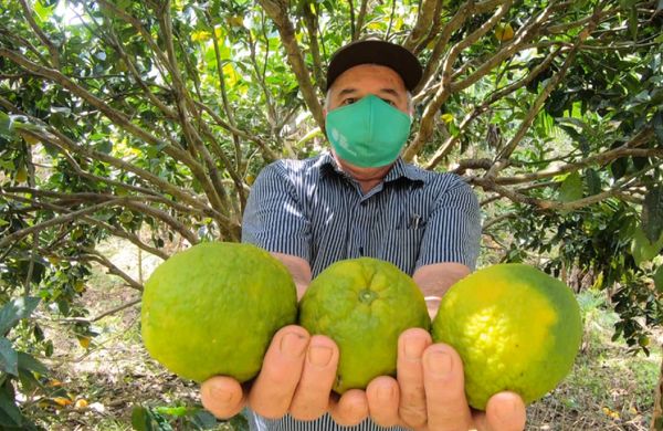 Edmar Maretto, produtor do interior de Conceição do Castelo
