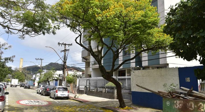 Em locais de clima quente e úmido, como o caso de Vitória, o sombreamento proporcionado pelas copas das árvores auxilia no conforto térmico e assim possibilita uma maior utilização dos espaços públicos abertos