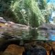 Imagem - Parque Nacional do Caparaó é cercado de beleza e tranquilidade no ES