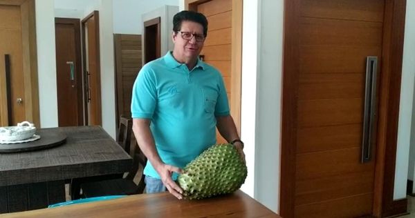 Empresário com a graviola colhida em Linhares  por Dalziso Armani