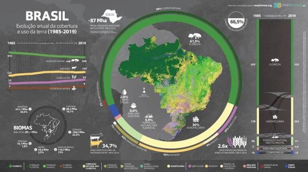 Projeto Comprova: Publicação mistura informações verdadeiras com dados imprecisos sobre meio ambiente no Brasil