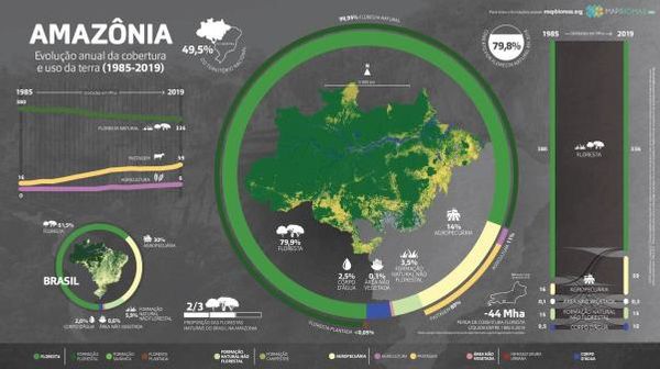 Projeto Comprova: Publicação mistura informações verdadeiras com dados imprecisos sobre meio ambiente no Brasil