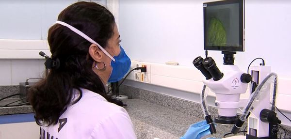 Peritos criminais do ES identificam novas drogas
