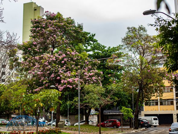 A Gazeta - v7j0jjddbih
