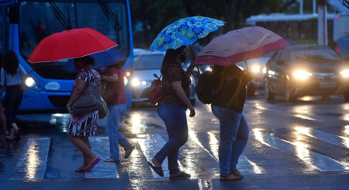 Segundo o Climatempo, a chuva pode ser de moderada a forte, com raios e ventos fortes principalmente no interior do Estado