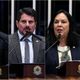 Imagem - Veja como a bancada do ES deve votar na eleição da presidência do Senado