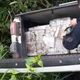 Imagem - PRF prende dois homens e apreende 400 kg de maconha após perseguição na BR 262