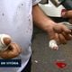 Imagem - Taxista bate veículo e fica ferido em tentativa de assalto em Vitória