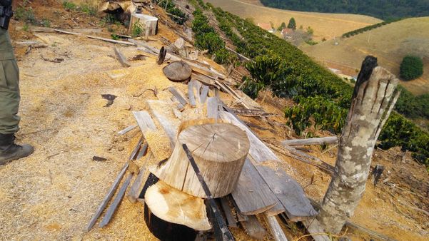 Aérea de Mata Atlântica desmatada pelo agronegócio no Espírito Santo