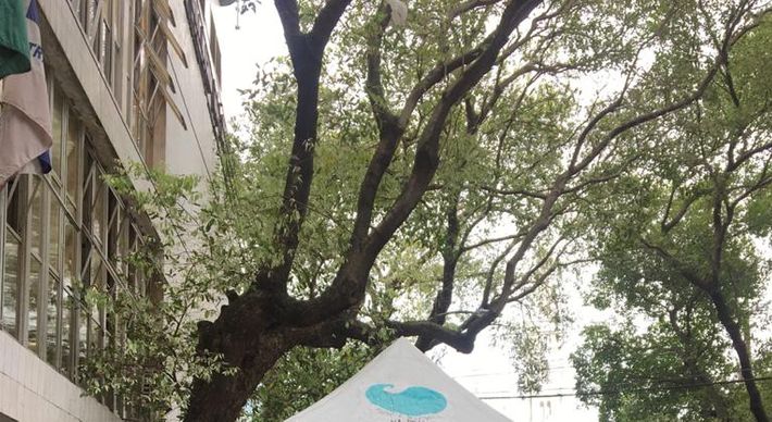 Desde a inauguração no dia 8 de outubro, já foram entregues 704 processos e 2.290 protocolos