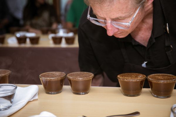 Marcos Suplicy realizando a avaliação sensorial dos microlotes das Montanhas do Espírito Santo