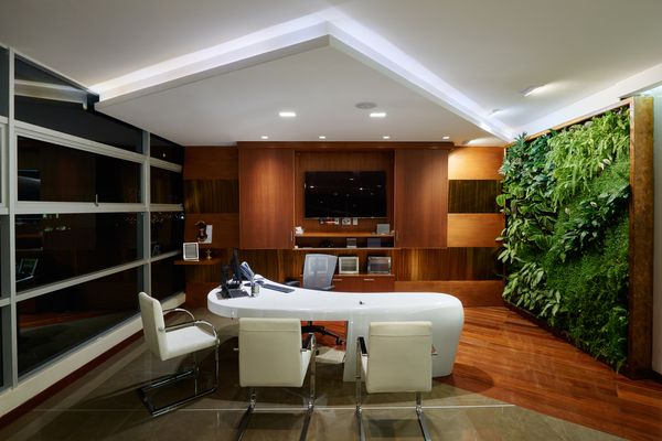 O verde na casa deixa o ambiente mais agradável e receptivo