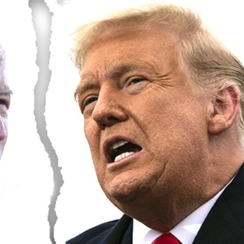 Trump ou Biden? Veja capixabas que vão ajudar a decidir as eleições nos EUA