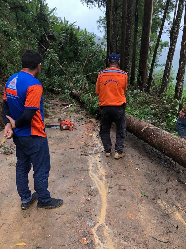 Chuva provocou a queda de árvore e a interdição de pontes em Rio Novo do Sul