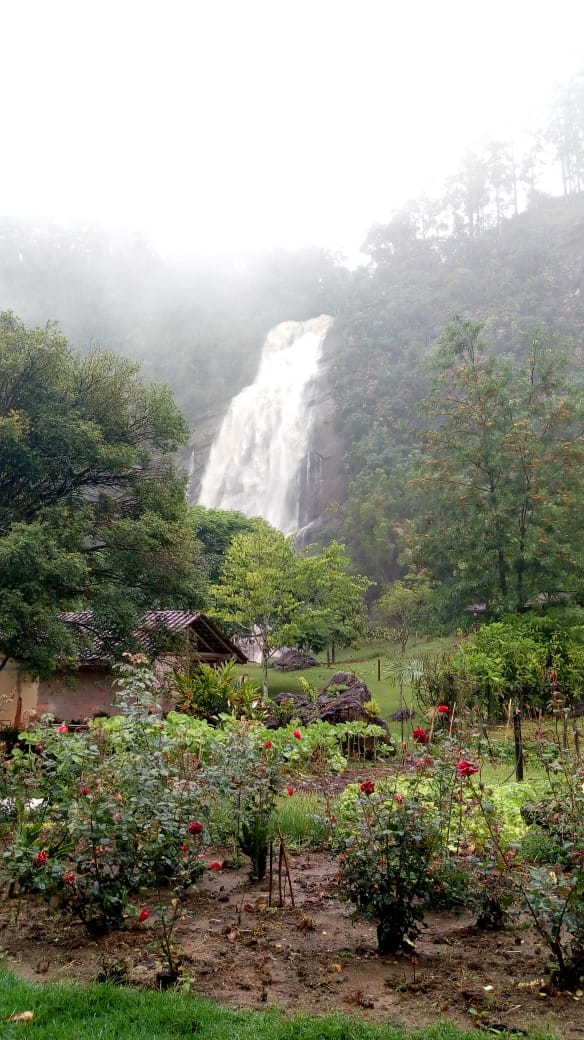 undefined por Internautas