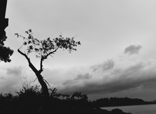 Nuvens carregadas no céu por Ricardo Medeiros