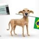Imagem - Brasil, vamos acabar com o complexo de vira-lata?