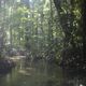 Imagem - Terras indígenas na Amazônia têm alta de desmatamento, garimpo e extração de madeira