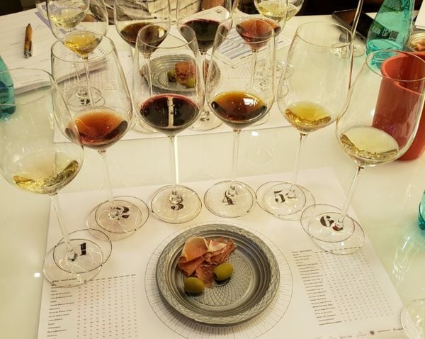 Degustação com diversos estilos de vinho de Jerez nas taças e suas diferentes cores