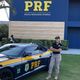 Imagem - Ex-É o Tchan, Silmara Miranda vira policial federal e agradece Bolsonaro