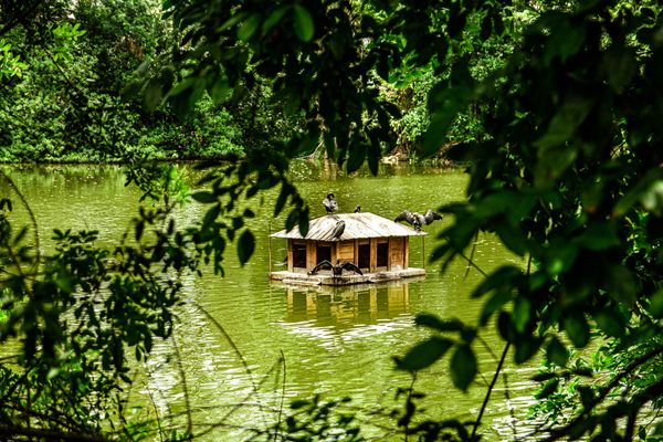 Ilha do Frade  integra a Área de Proteção Ambiental (APA) da Baía das Tartarugas e se tornou importante ponto turístico na cidade com sua relevante biodiversidade marinha e costeira.