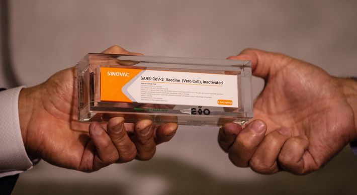 De acordo com informações do Ministério da Saúde, nesta segunda-feira (18) começa a distribuição de 4,6 milhões de doses da vacina