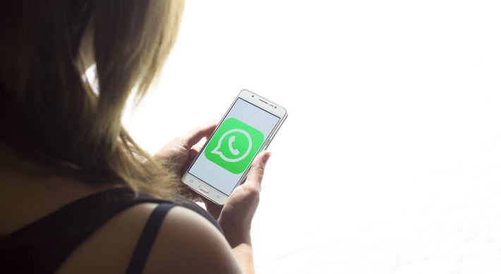 Pelas novas regras, o usuário aceita compartilhar as informações com o Facebook ou não terá direito de continuar a usar o WhatsApp. Entenda o que muda e se vale a pena migrar para outro aplicativo de mensagens