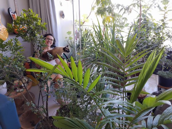 A arquiteta Silvia Lorenzoni tem várias plantas no apartamento
