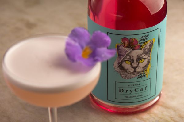 Gim capixaba DryCat Pink Gin com hibisco e cereja