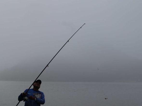 Neblina surpreende moradores da Grande Vitória por Ricardo Medeiros