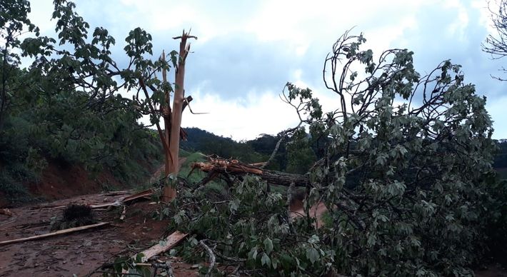Uma moradora da região afirmou que a queda da árvore chegou a interromper uma estrada de chão na região de Chapéu, zona rural do município