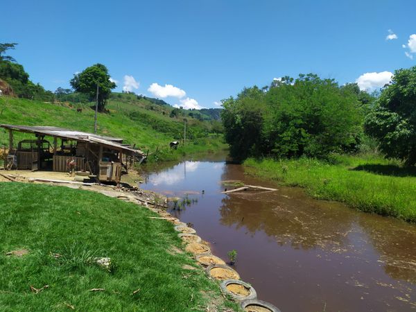 Além dos pássaros, uma obra considerada poluidora foi constatada em área de preservação permanente (APP)
